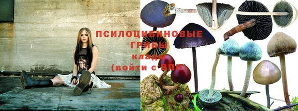 скорость Богданович