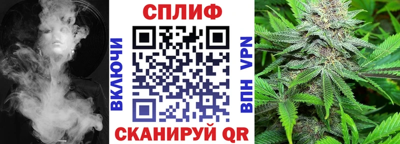 Конопля планчик  Болохово 